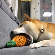 PINEAPPLE CHEW TOY™ - FUN CHEWING FOR HEALTHY TEETH