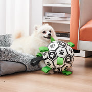 DOG FOOTBALL TOY™ - ENDLESS FUN, EVERY PLAY