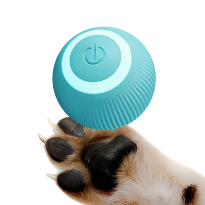 INTERACTIVE PET BALL™ - ENGAGE YOUR PET WITH FUN