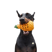 PINEAPPLE CHEW TOY™ - FUN CHEWING FOR HEALTHY TEETH