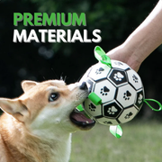 DOG FOOTBALL TOY™ - ENDLESS FUN, EVERY PLAY