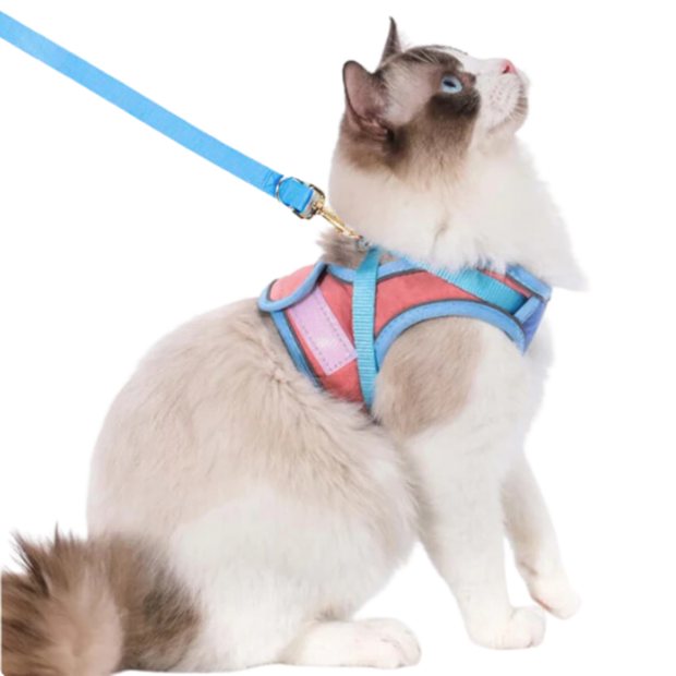 CAT HARNESS LEASH™ - SAFE ADVENTURES AWAIT