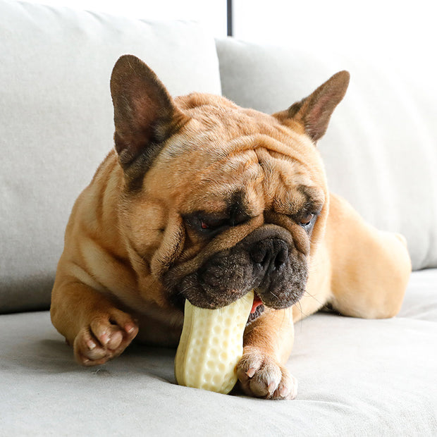 SQUEAKY PEANUT TOY™ - PERFECT FOR PLAYTIME