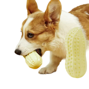 SQUEAKY PEANUT TOY™ - PERFECT FOR PLAYTIME