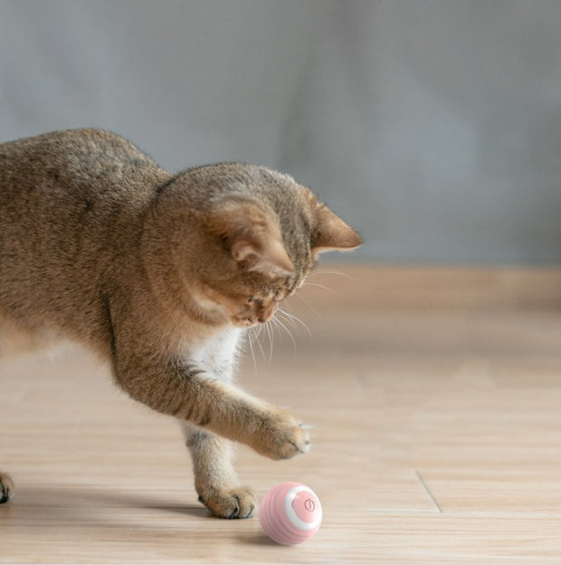 INTERACTIVE PET BALL™ - ENGAGE YOUR PET WITH FUN